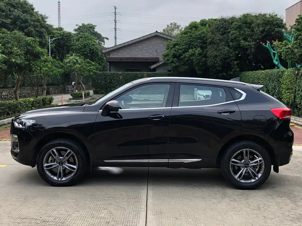 HAVAL F5 2019