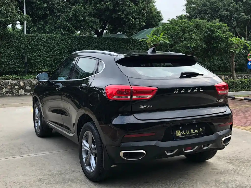 HAVAL F5 2019