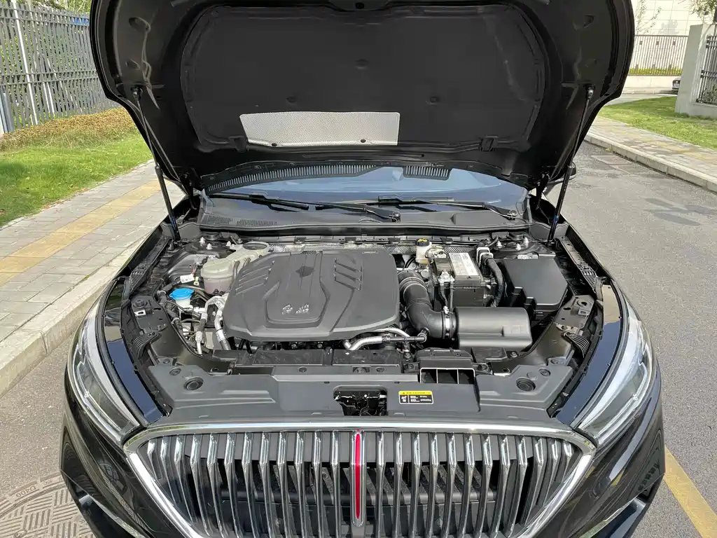 HONGQI H5 2021
