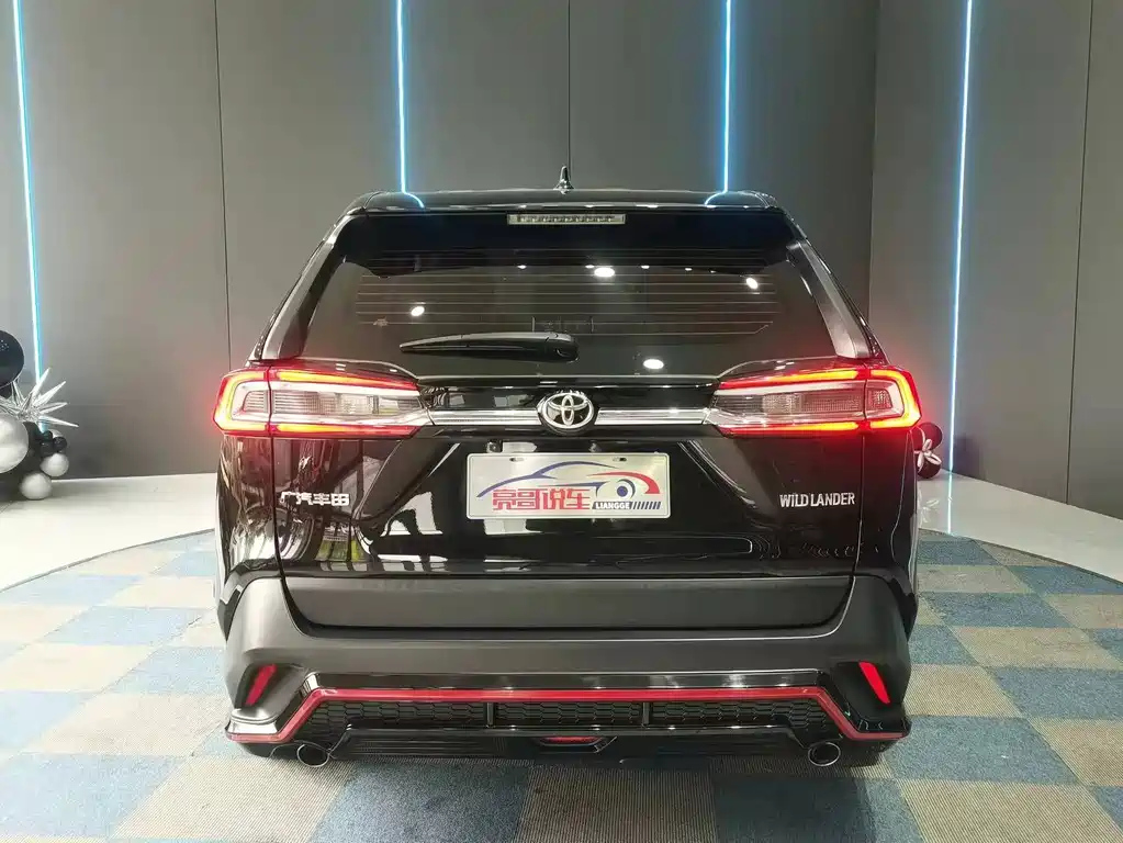 TOYOTA WILDLANDER 2022