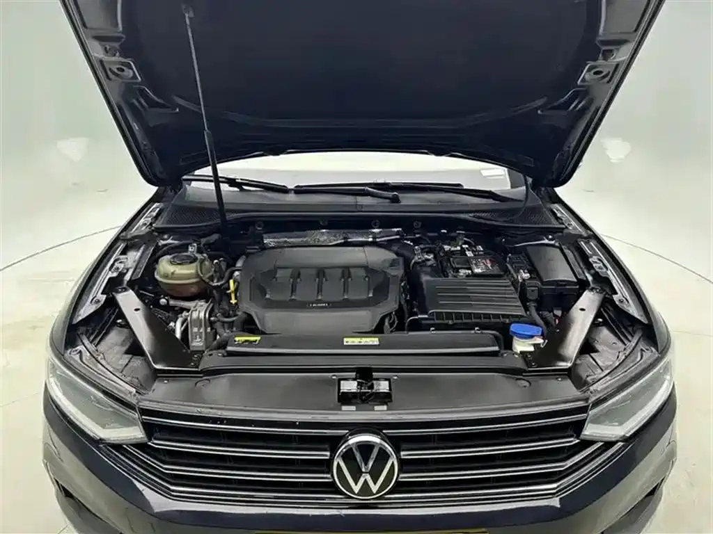 VOLKSWAGEN MAGOTAN 2020