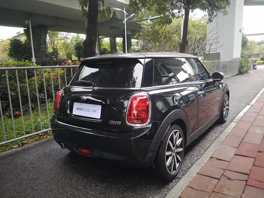 MINI OTHER 2021