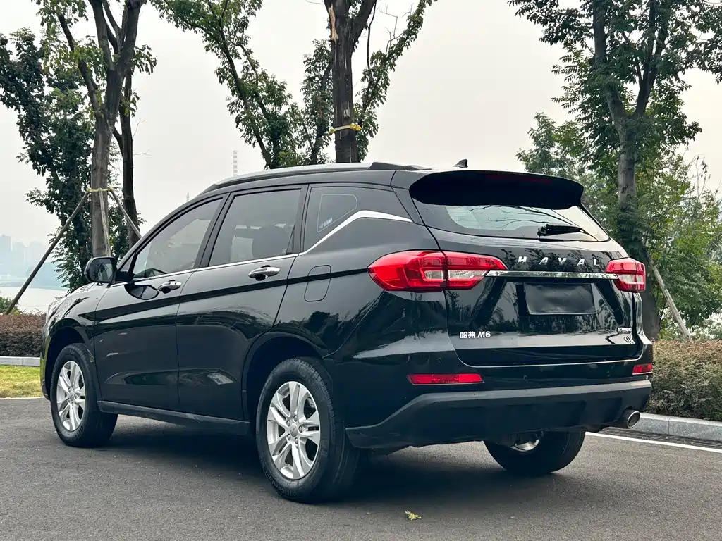HAVAL M6 2019