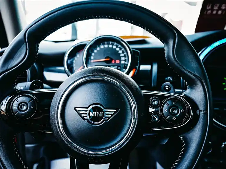 MINI OTHER 2019
