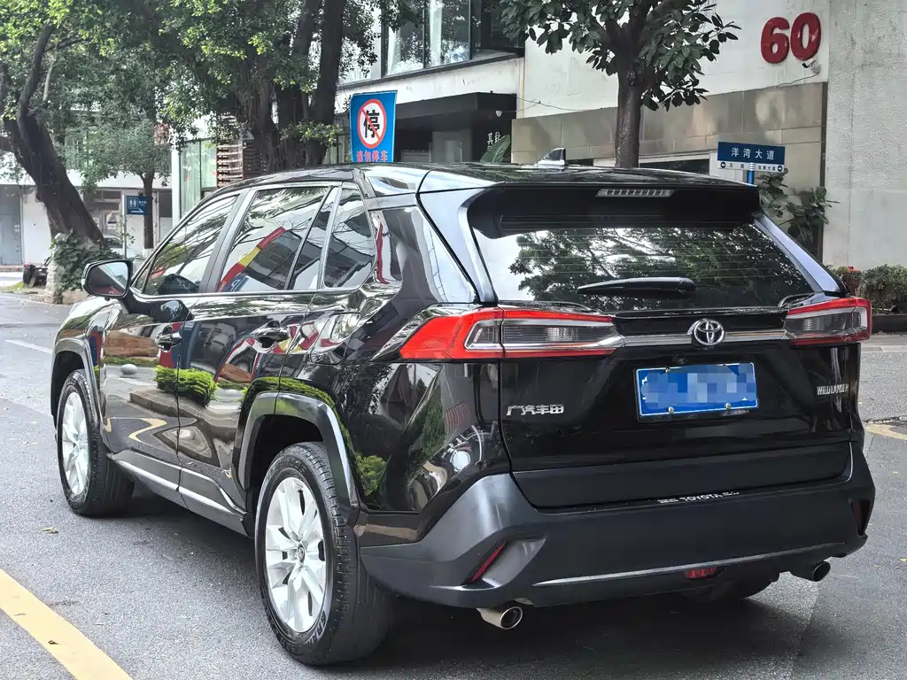 TOYOTA WILDLANDER 2022