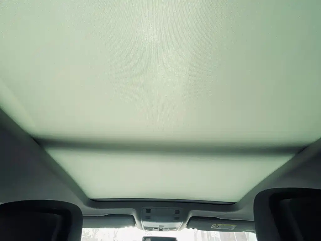 VOLKSWAGEN MAGOTAN 2020