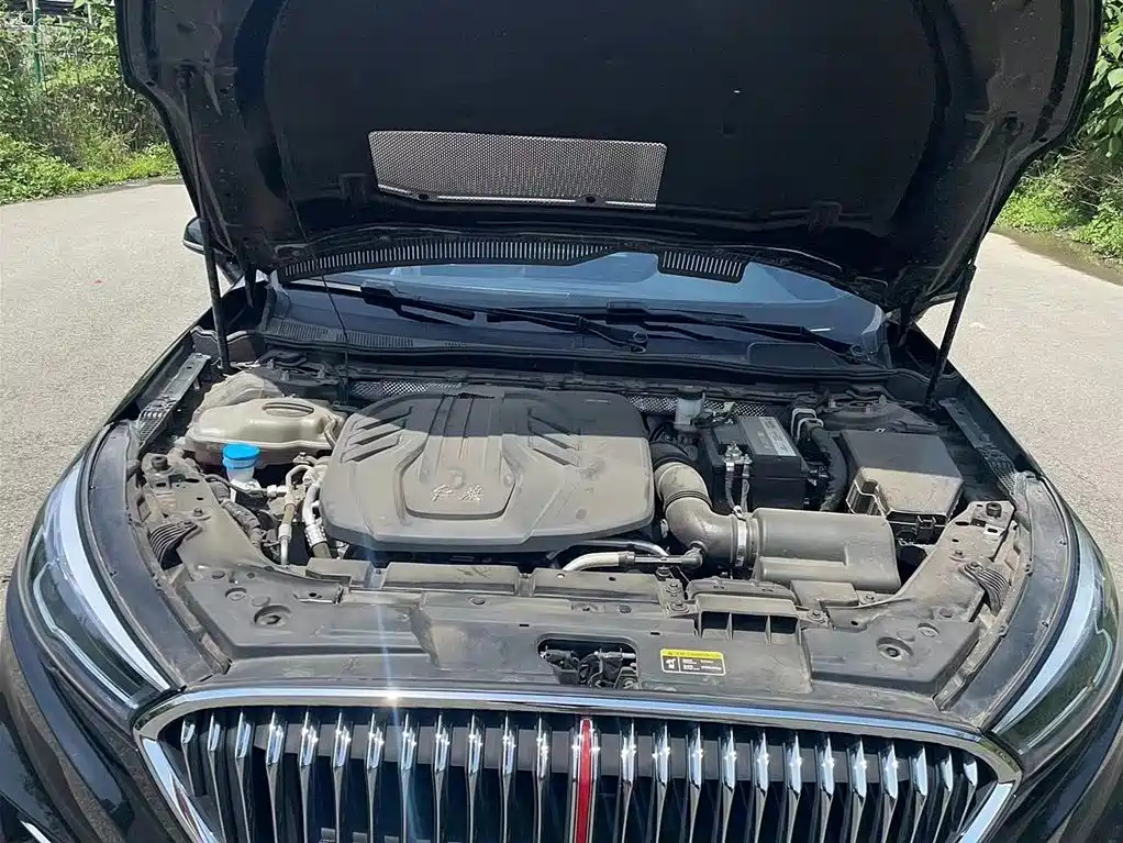 HONGQI H5 2021