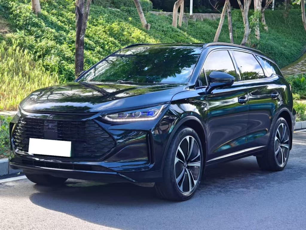 BYD TANG NEW ENERGY