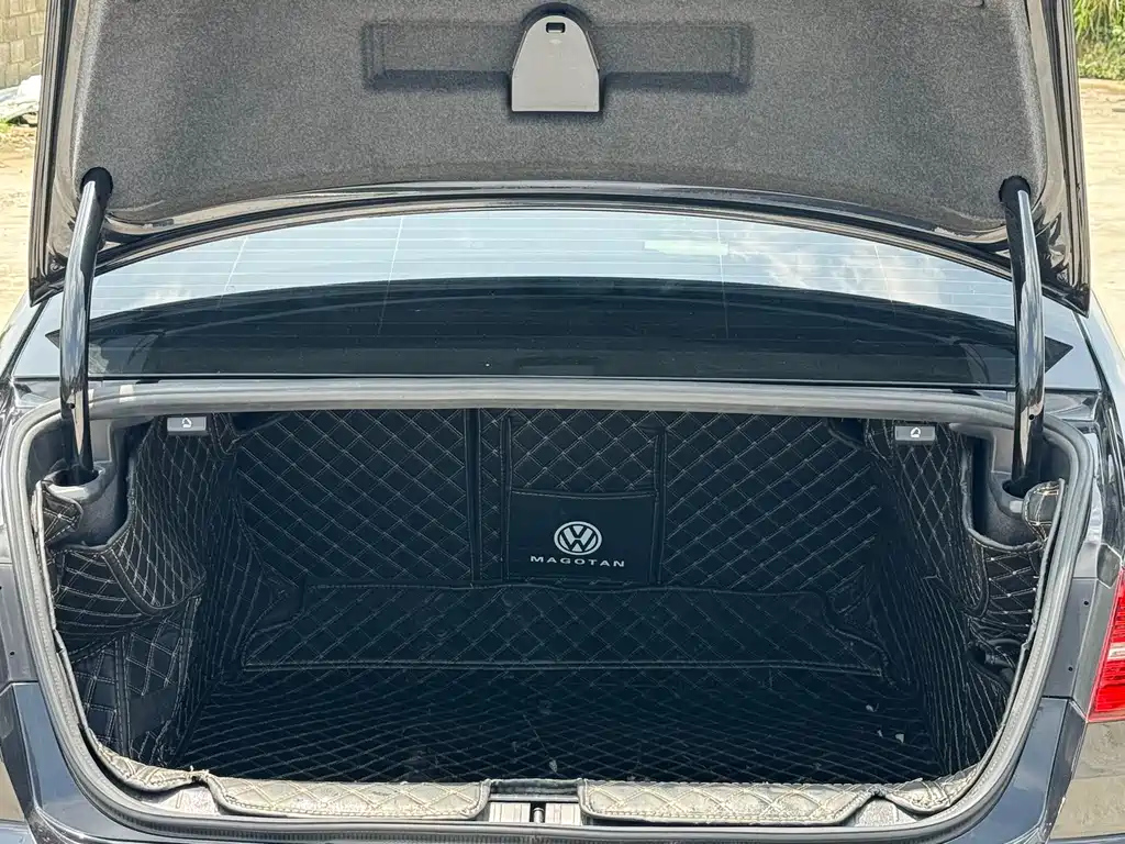 VOLKSWAGEN MAGOTAN 2020
