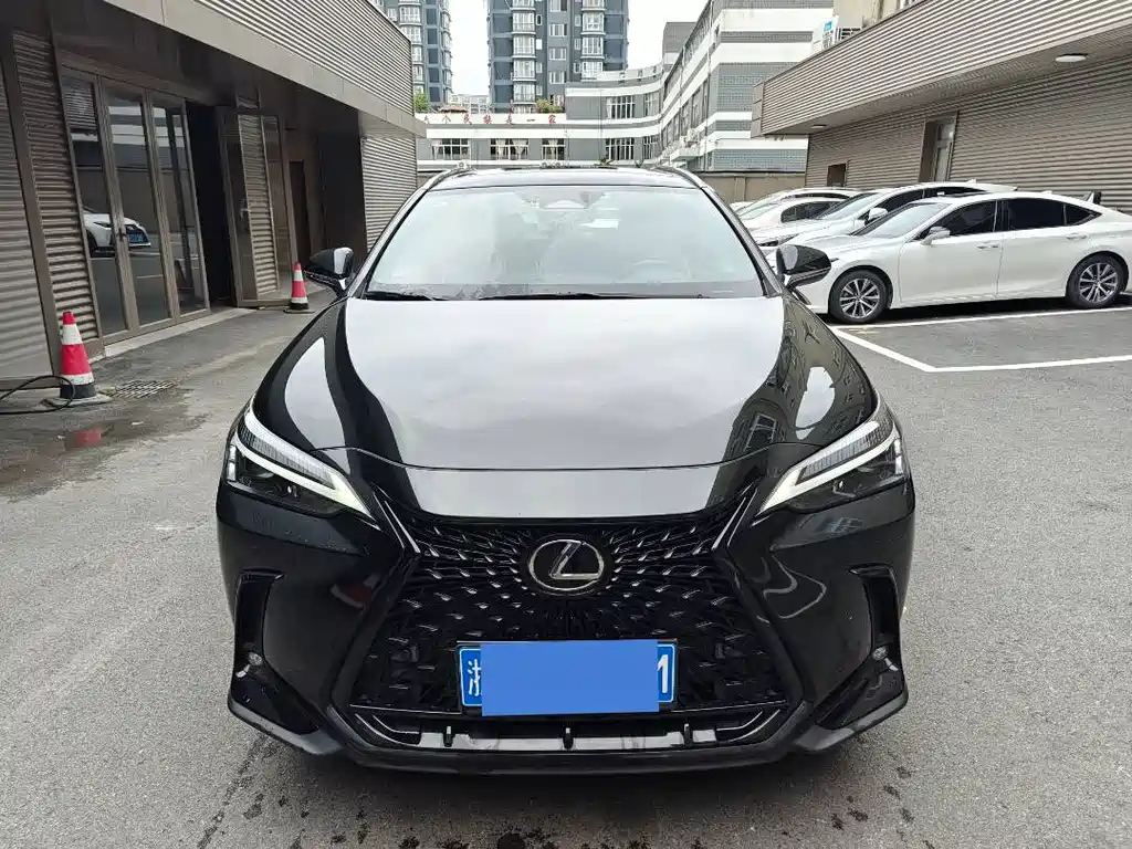 LEXUS NX 2022