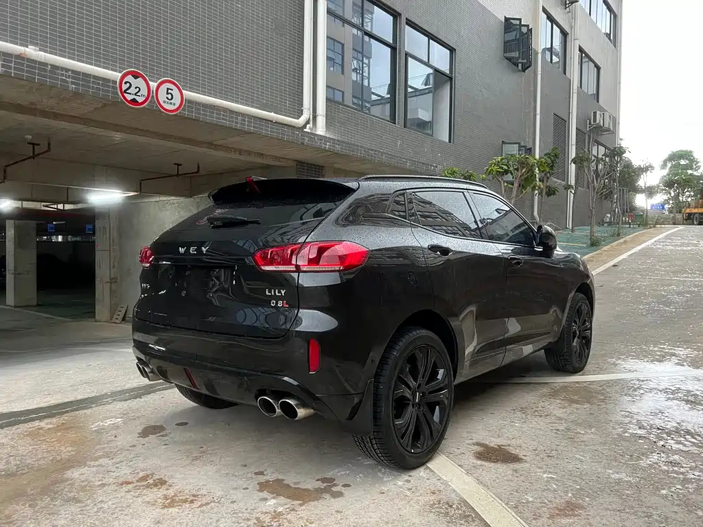 WEY VV5 2018