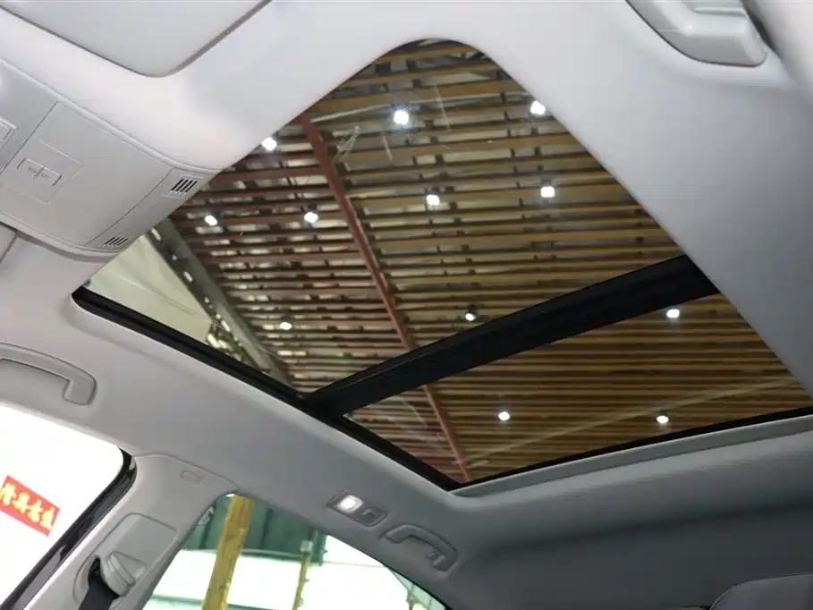 VOLKSWAGEN MAGOTAN 2021