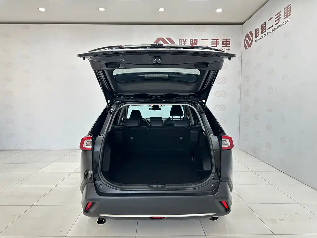 TOYOTA WILDLANDER 2020