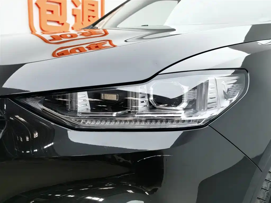 WEY VV6 2019