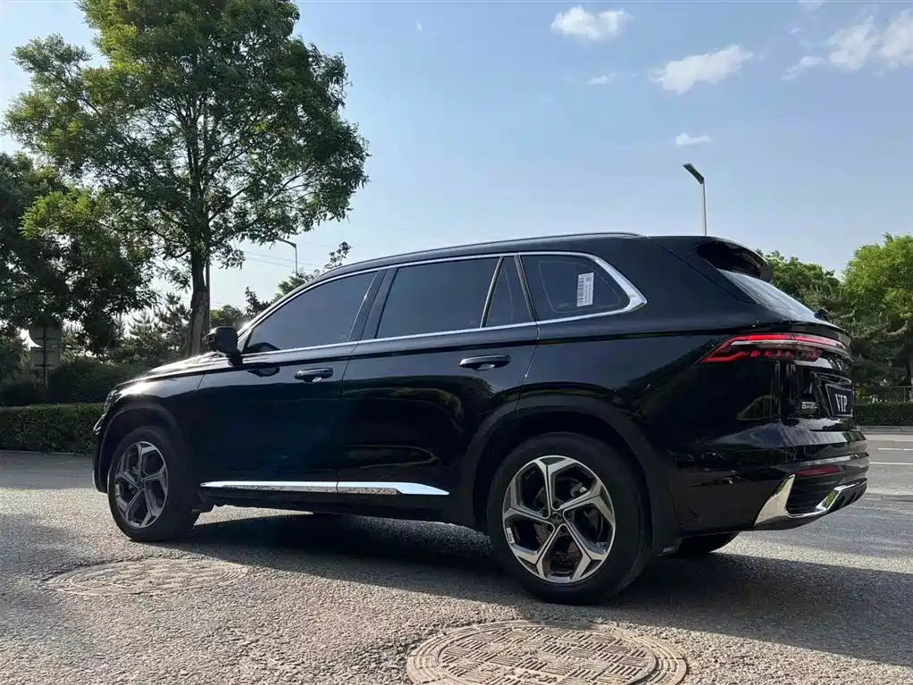 GEELY AUTO MONJARO 2021