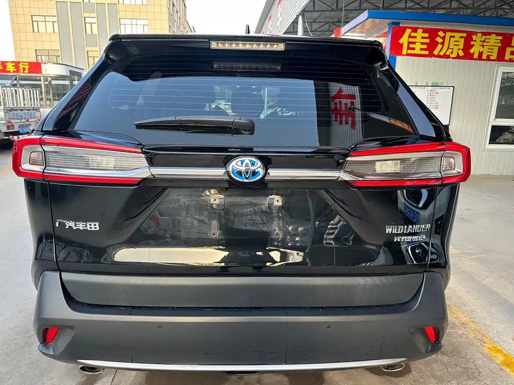 TOYOTA WILDLANDER NEW ENERGY 2021