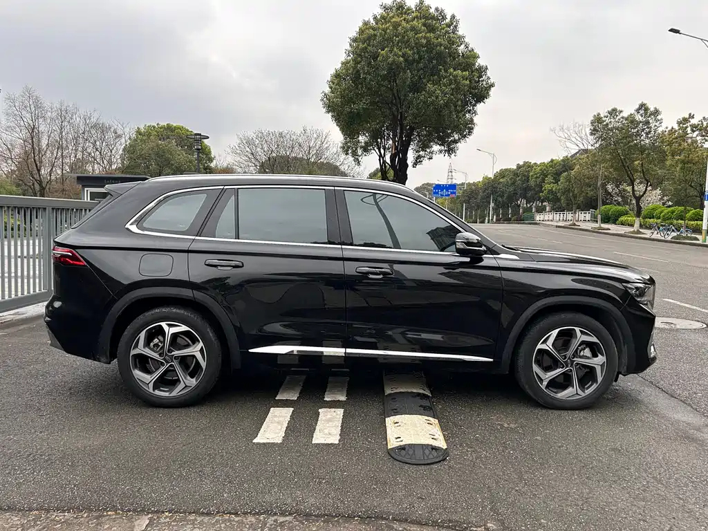 GEELY AUTO MONJARO 2021
