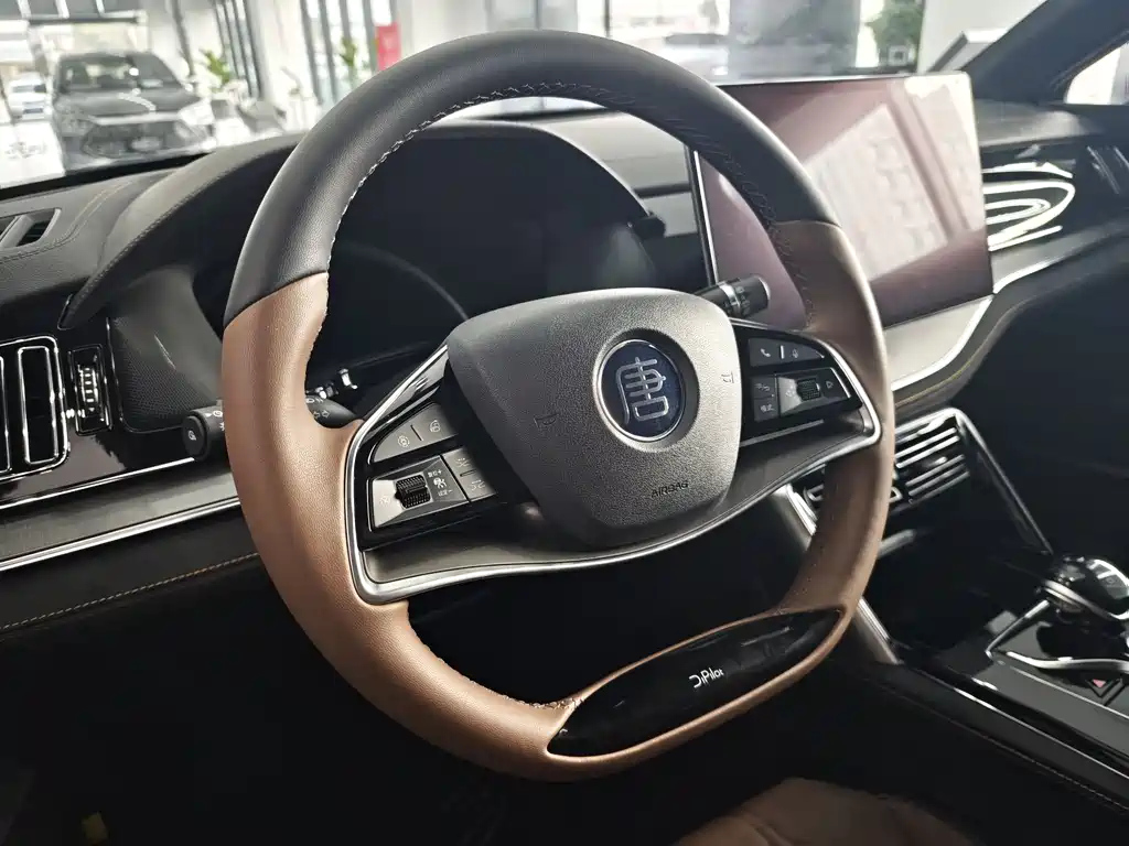 BYD TANG NEW ENERGY 2024