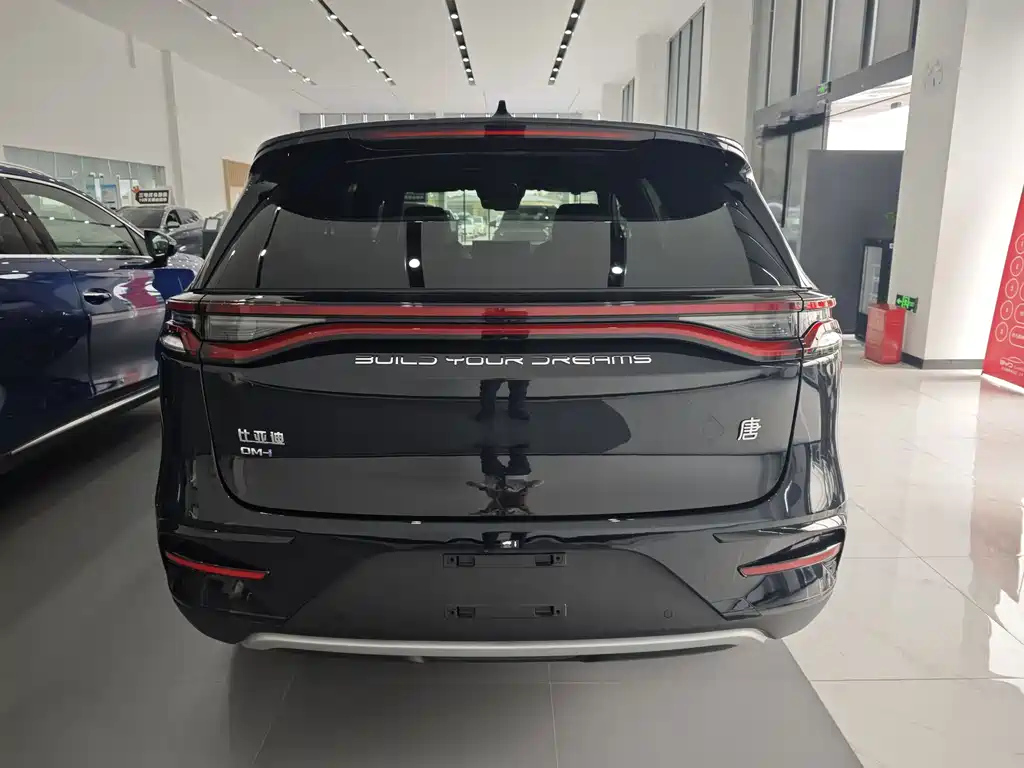 BYD TANG NEW ENERGY 2024