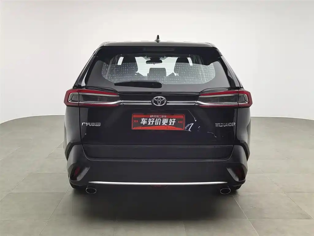 TOYOTA WILDLANDER 2021