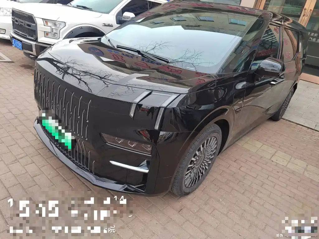 Аукционный лист ZEEKR 009 2023