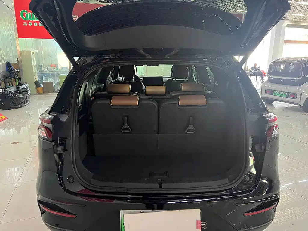 BYD TANG NEW ENERGY 2022