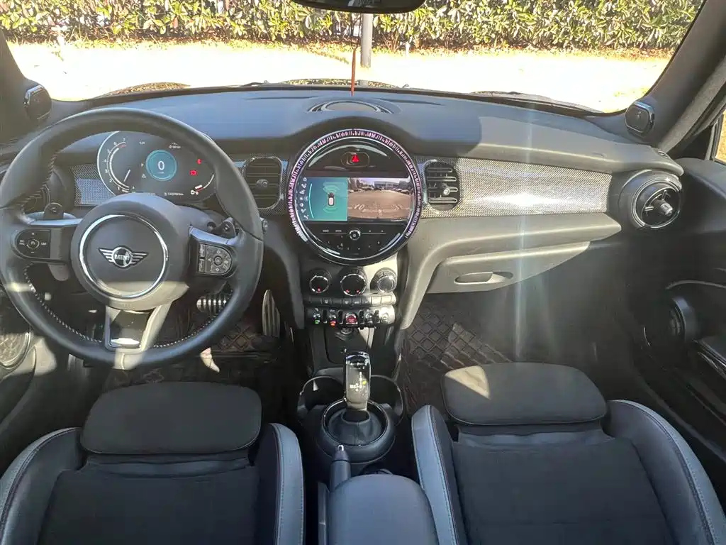 MINI OTHER 2021