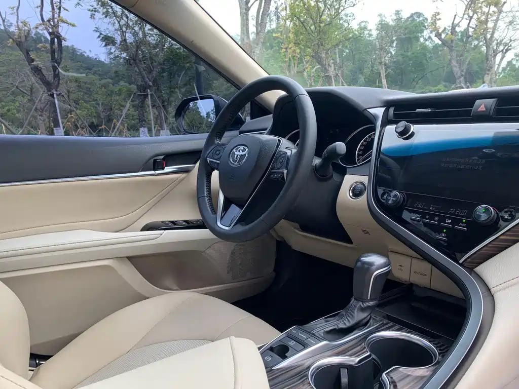 TOYOTA CAMRY 2019