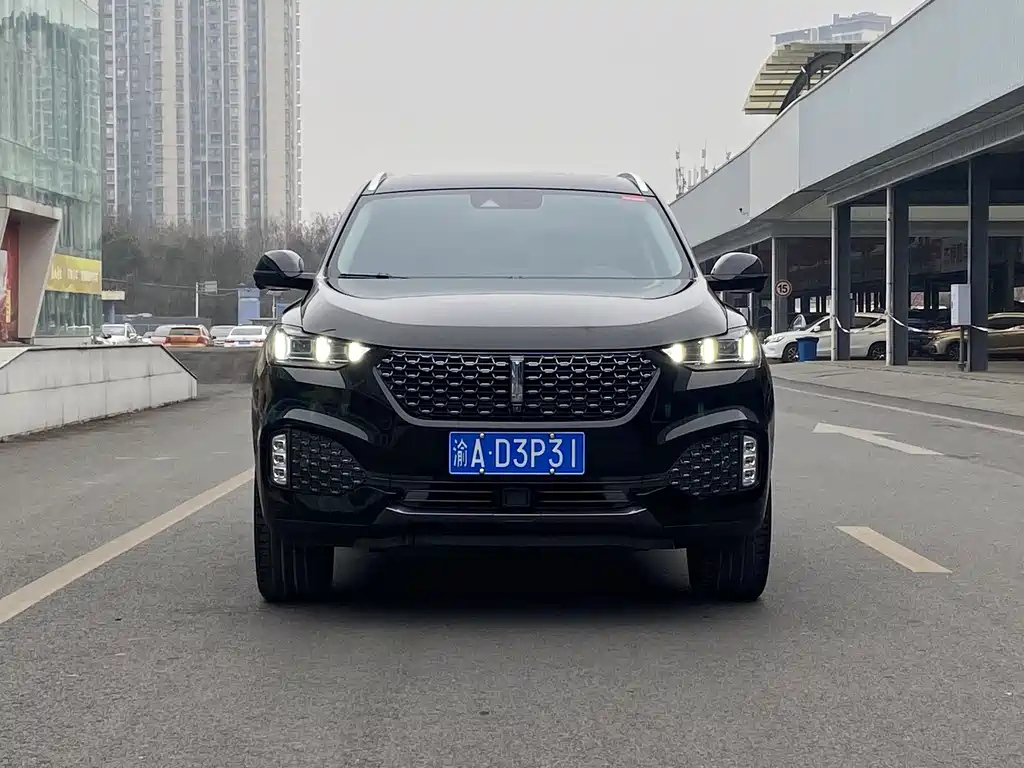 WEY VV6 2020