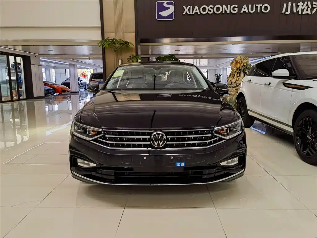 VOLKSWAGEN MAGOTAN 2024