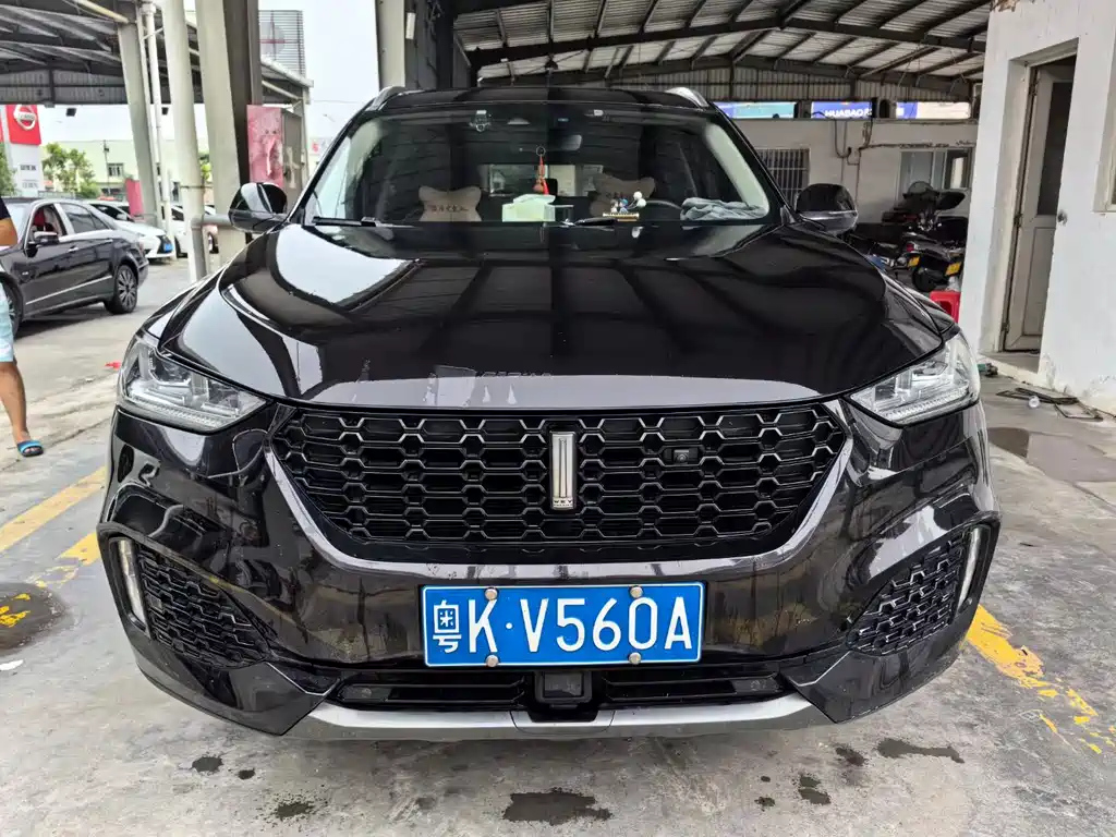 WEY VV6 2019