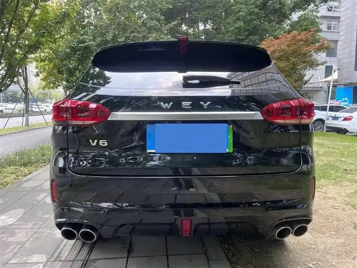 WEY VV6 2020