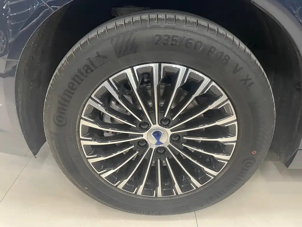 DENZA D9 2024
