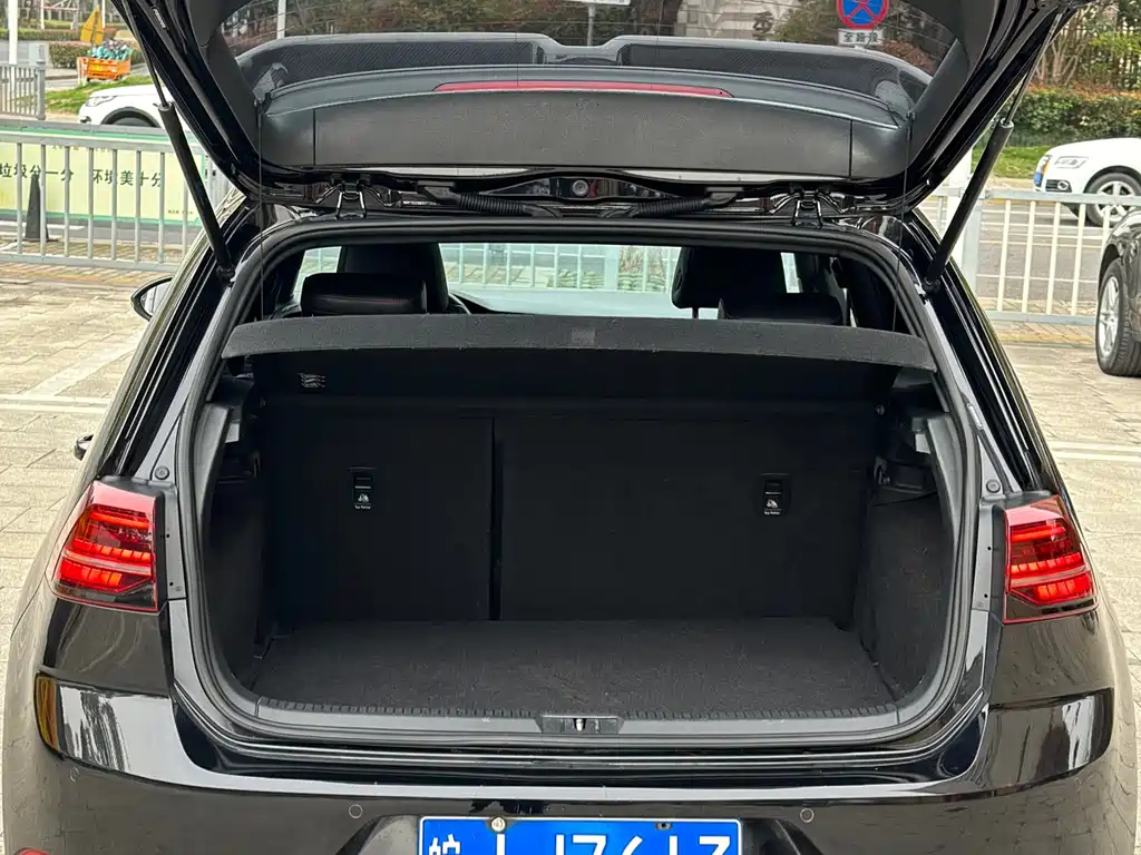 VOLKSWAGEN GOLF 2019