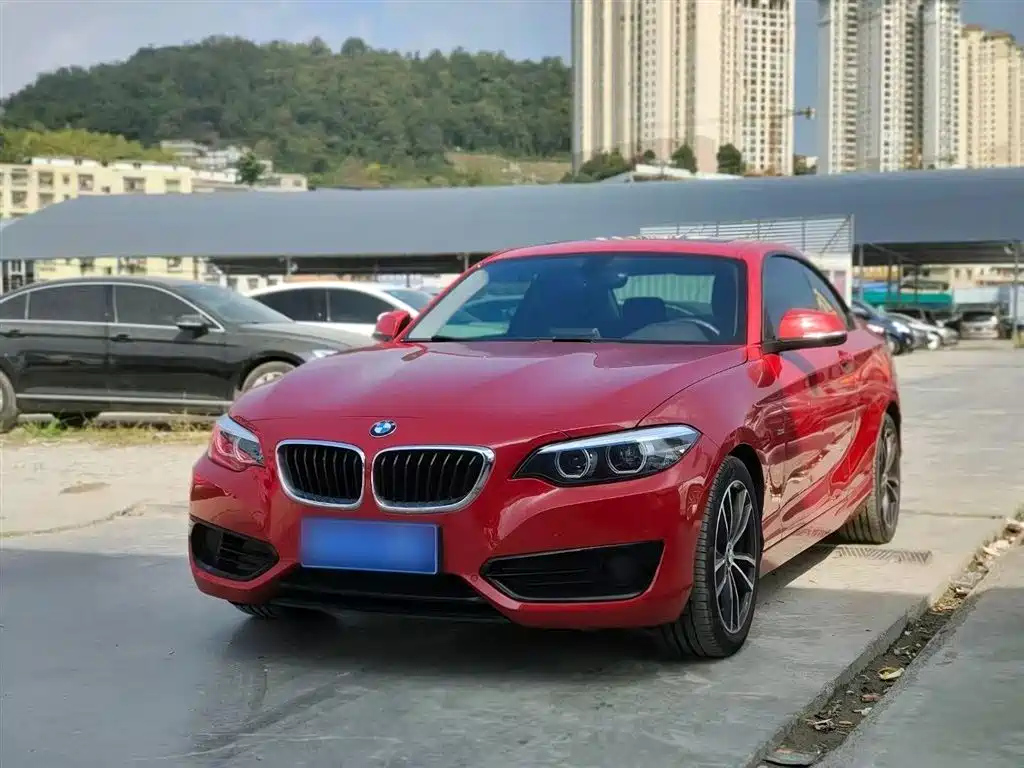 BMW 2-SERIES 2018
