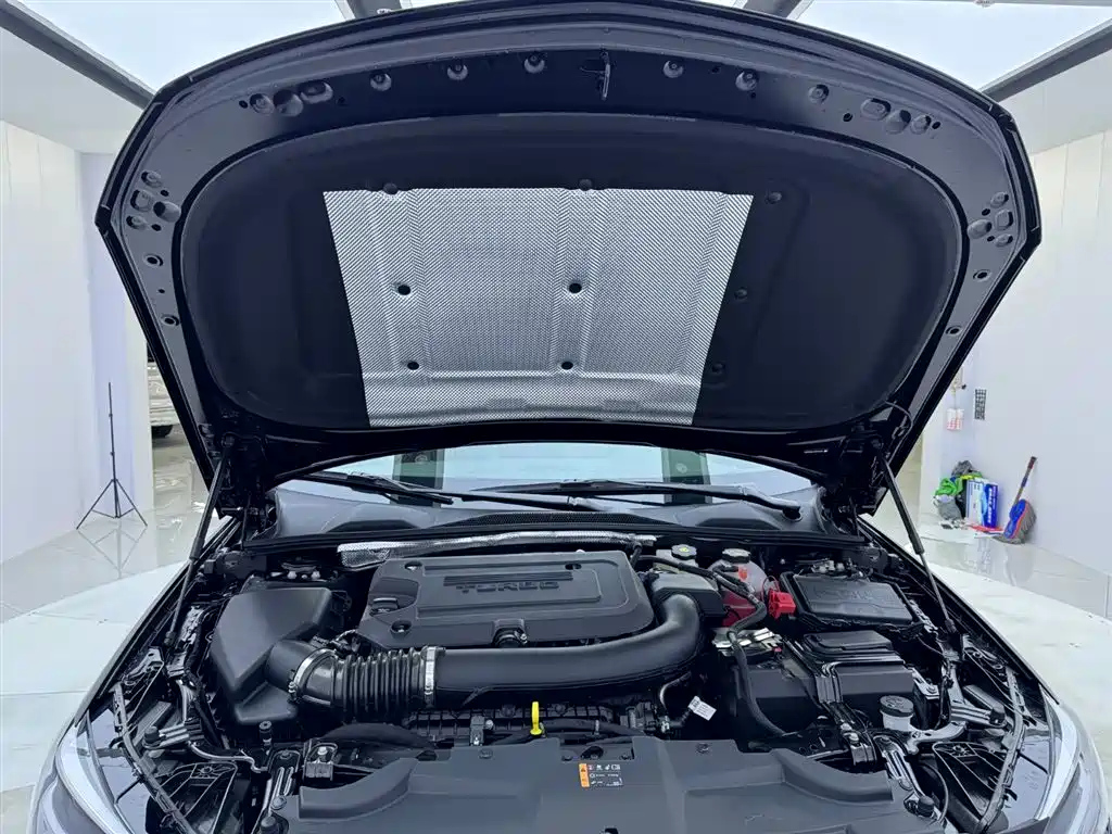 BUICK REGAL 2024