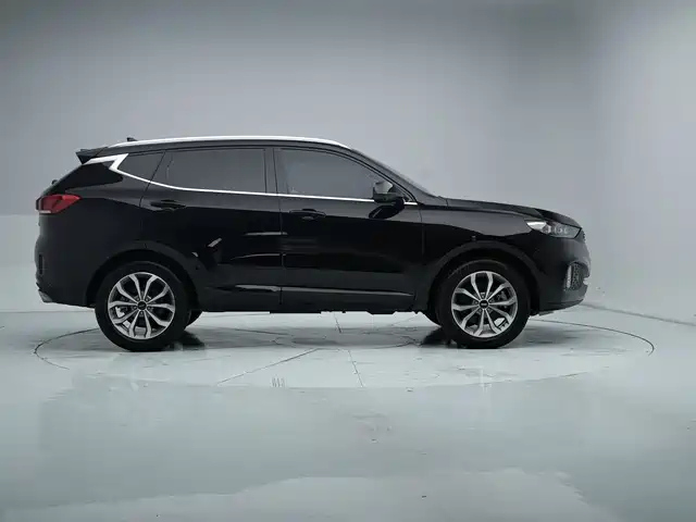 WEY VV6 2019