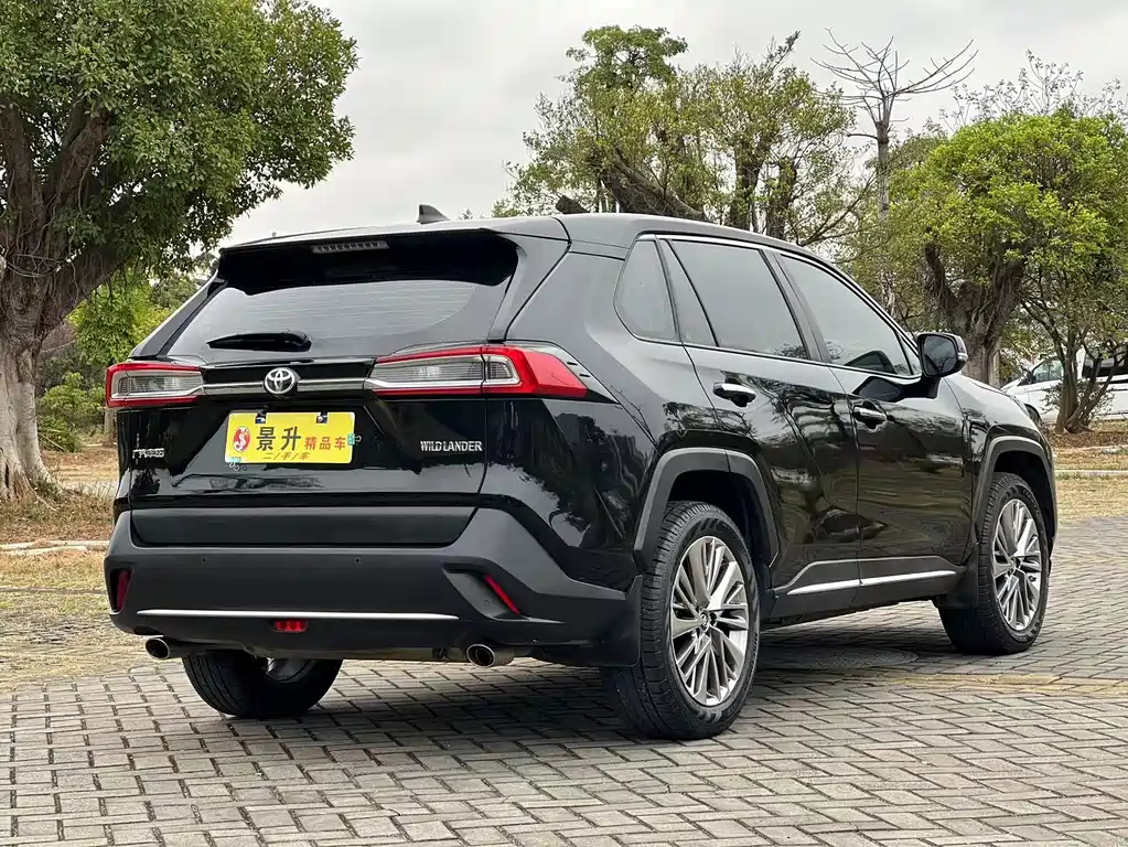 TOYOTA WILDLANDER 2020
