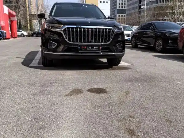 HONGQI HS5 2020