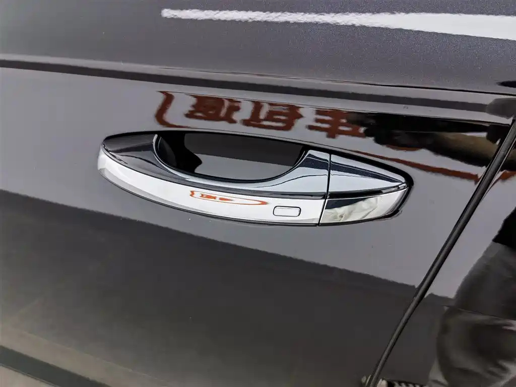 VOLKSWAGEN LAVIDA 2024