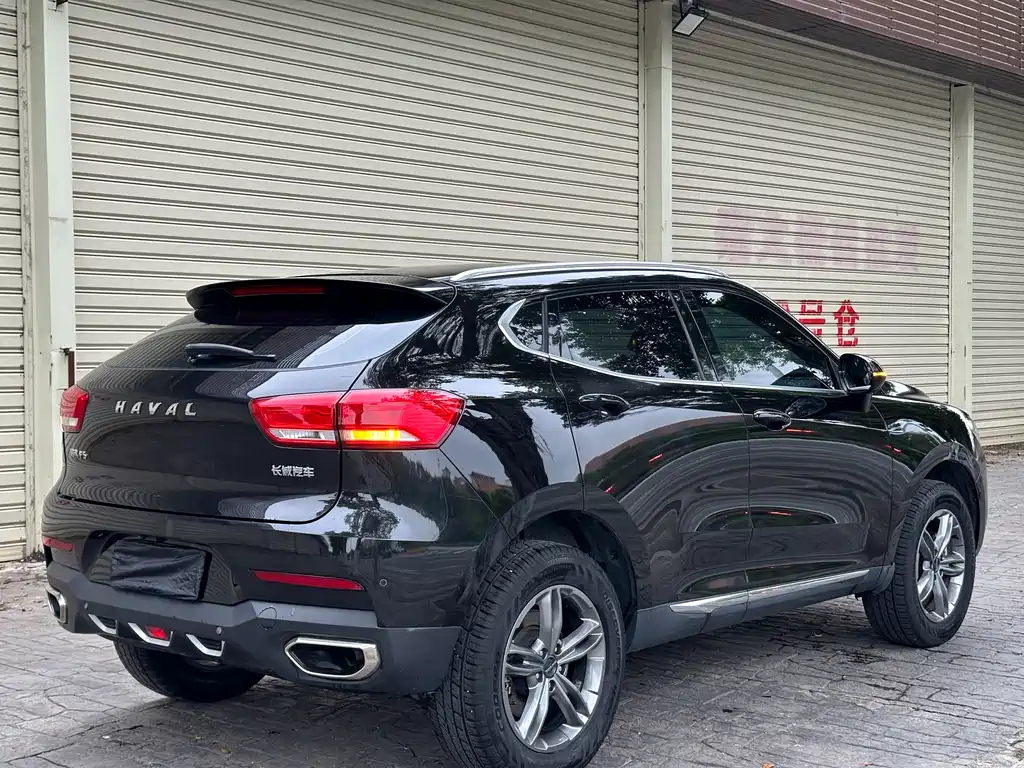 HAVAL F5 2019