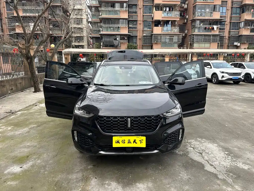 WEY VV6 2019