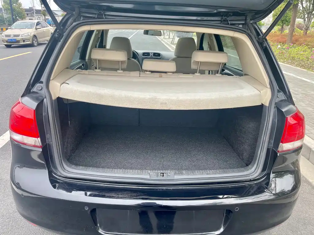 VOLKSWAGEN GOLF 2010