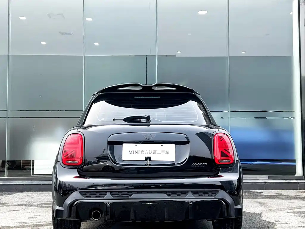 MINI OTHER 2023