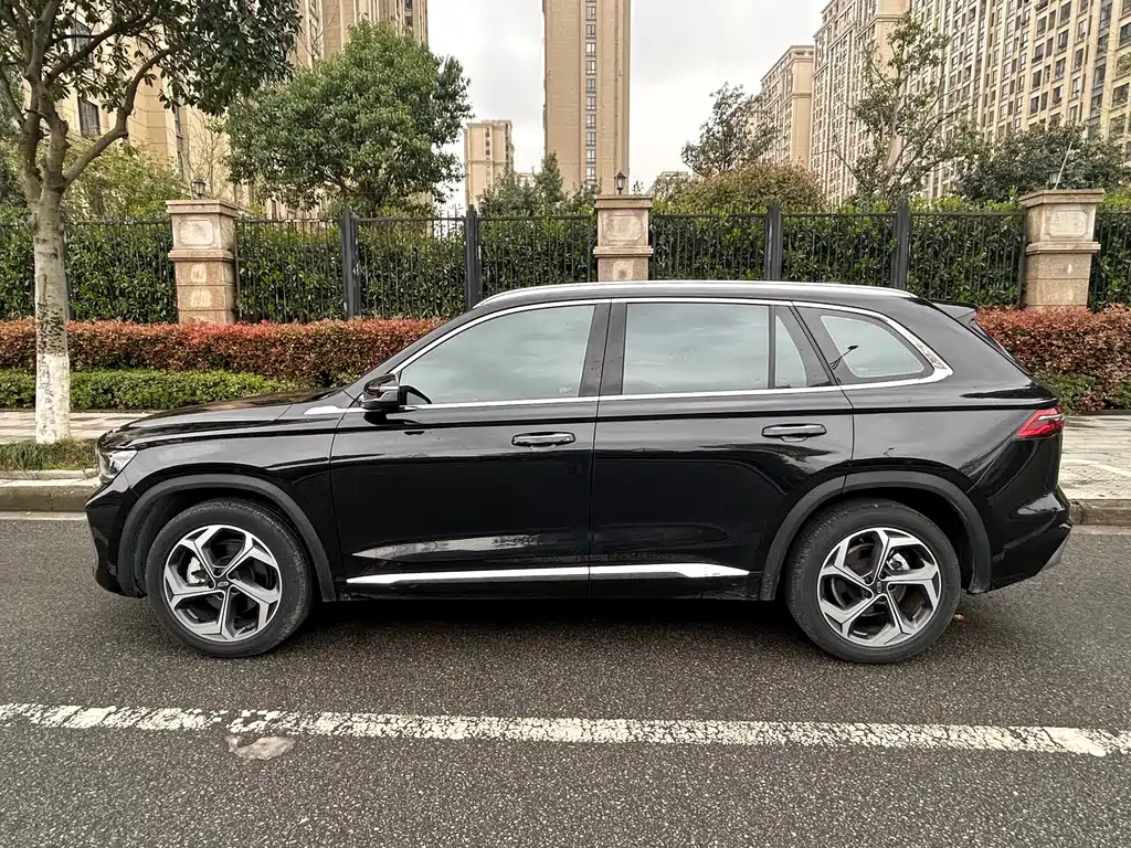 GEELY AUTO MONJARO 2021