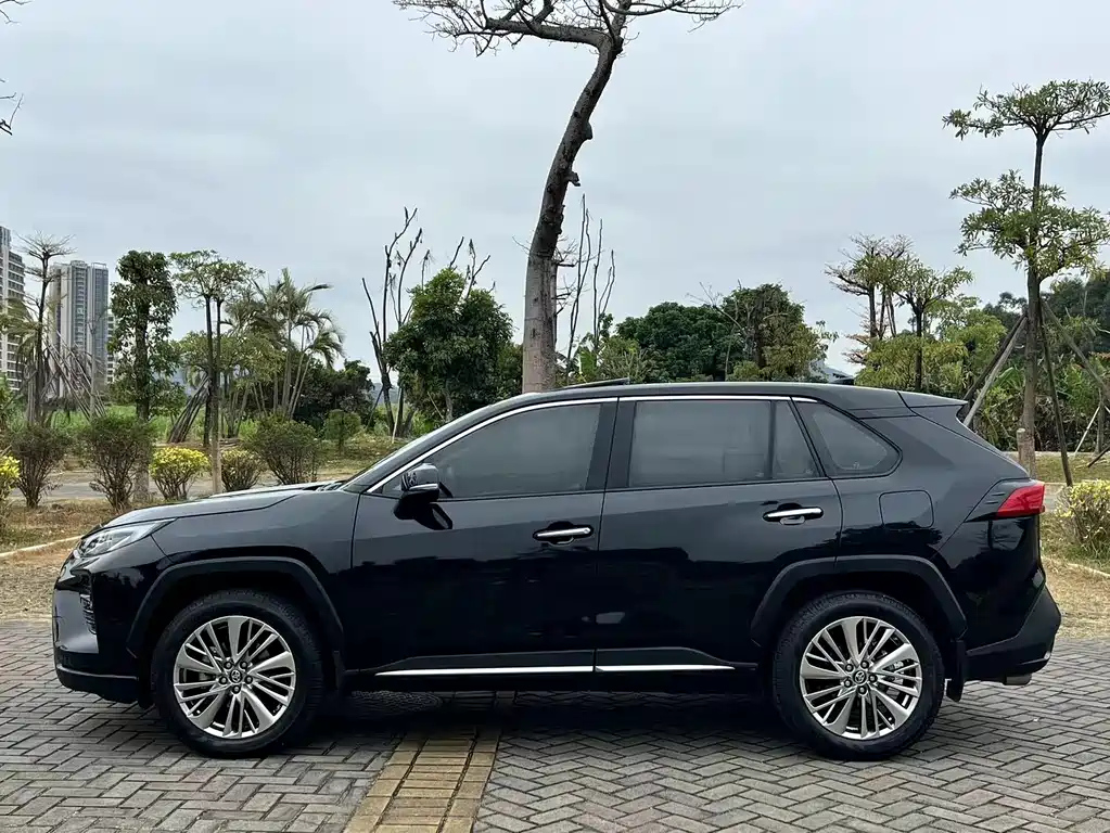 TOYOTA WILDLANDER 2020