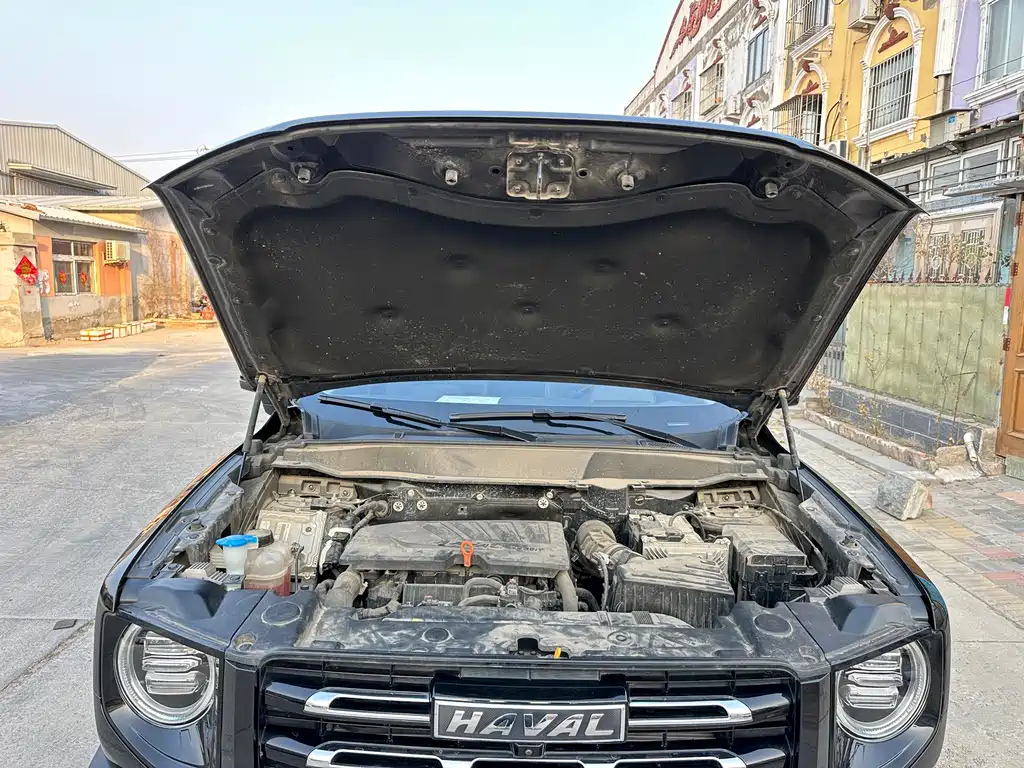 HAVAL DARGO 2021