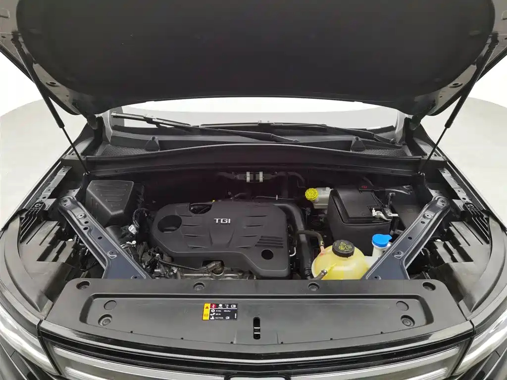 ROEWE RX5 MAX 2021
