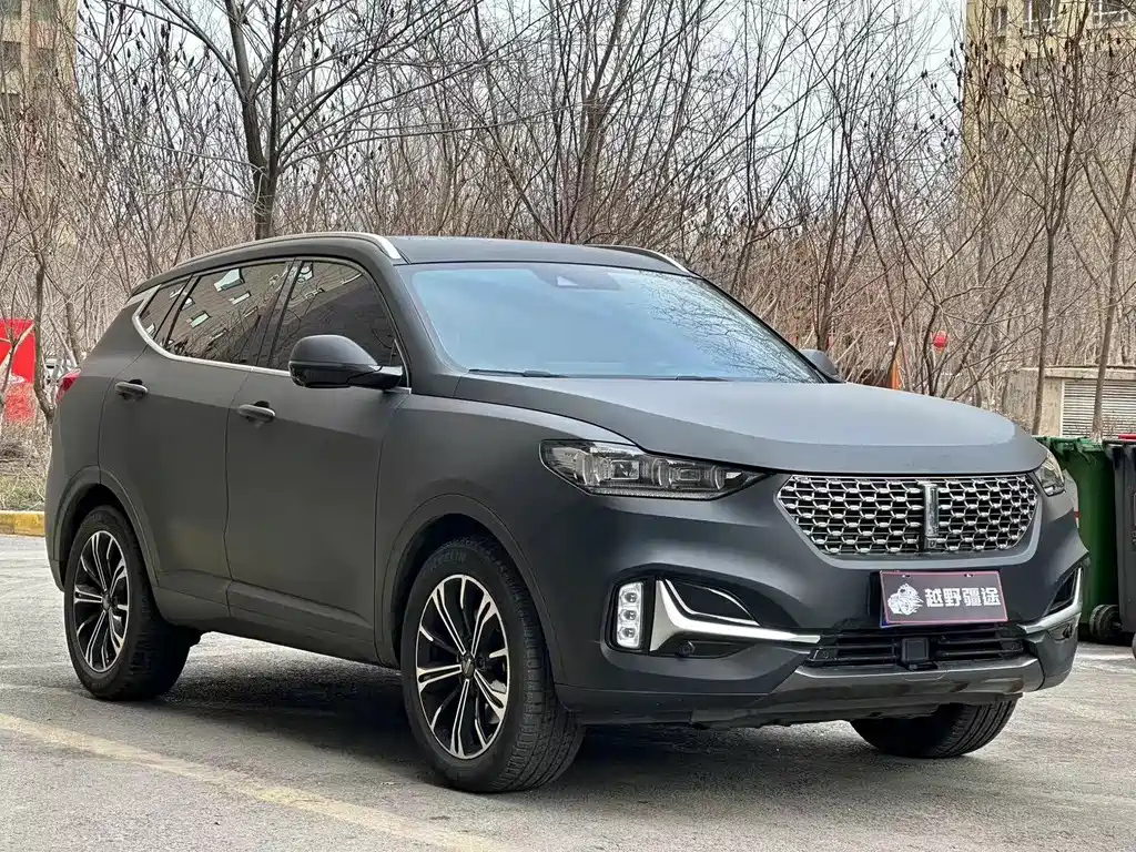 WEY VV6 2021