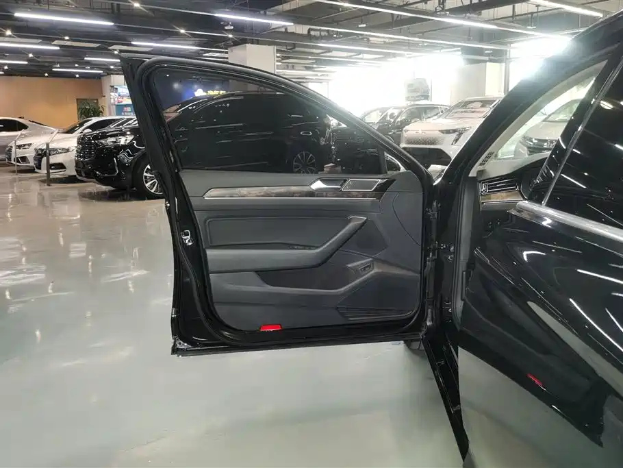 VOLKSWAGEN MAGOTAN 2020